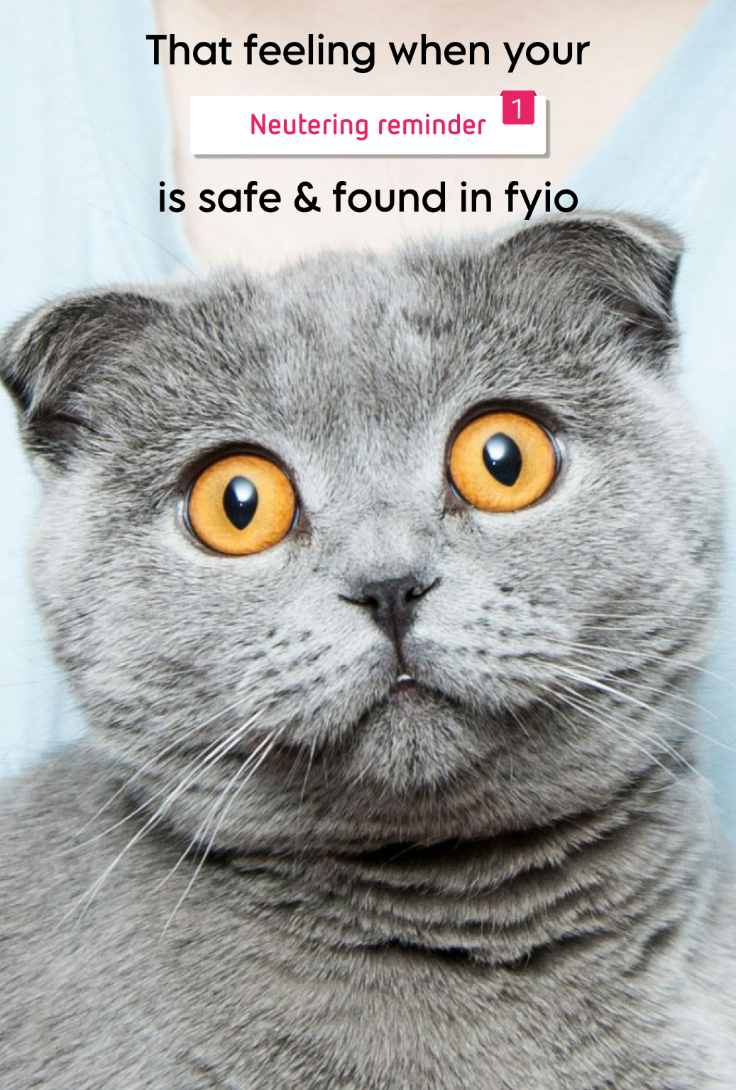 fyio product images