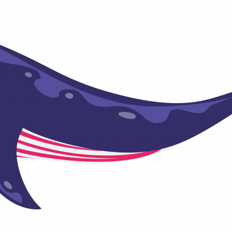 fyio-blue-whale_purple